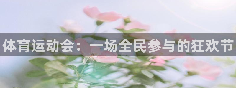 三亿体育登录：体育运动会：一场全民参与的狂欢节
