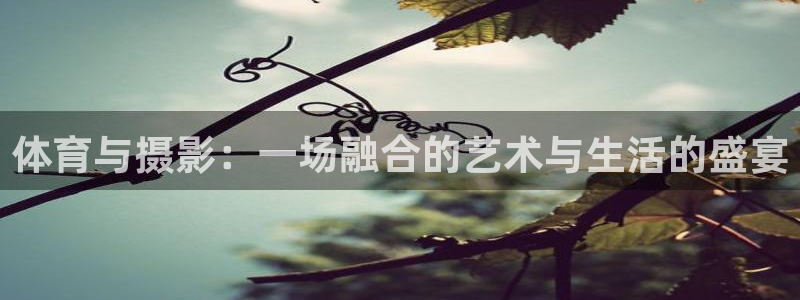 三亿体育登录：体育与摄影：一场融合的艺术与生活的盛宴