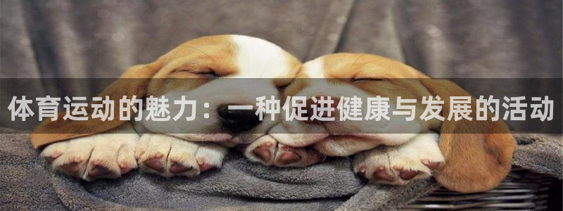 三亿体育登录：体育运动的魅力：一种促进健康与发展的活动